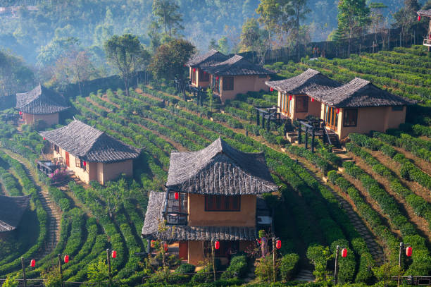 istockphoto 1302537391 612x612